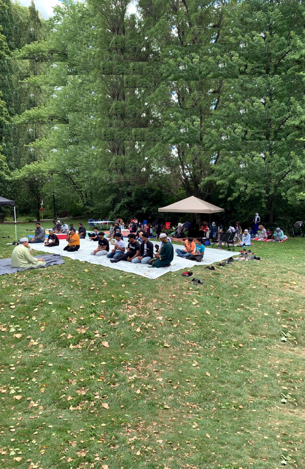 picnic